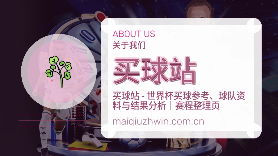买球站综合体育服务